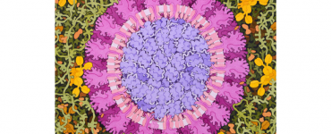 冠状病毒COVID-19